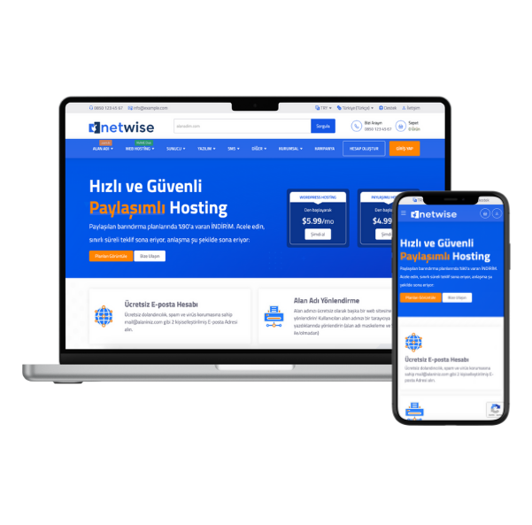 Netwise Theme